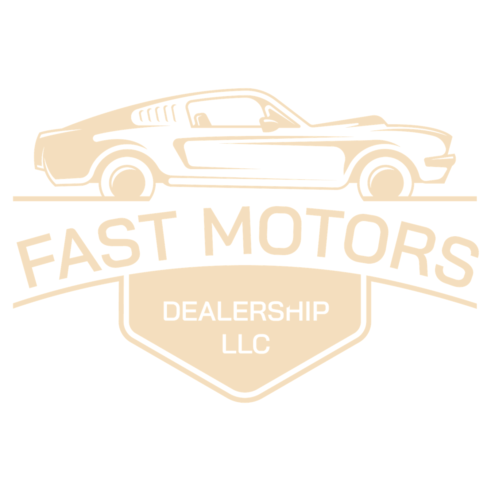 FAST MOTORS DEALERSHIP LLC